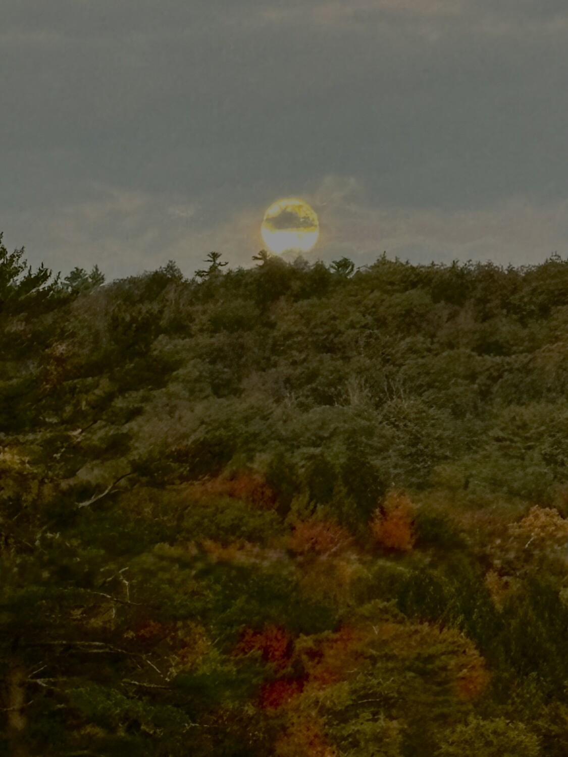 Foliage super moon