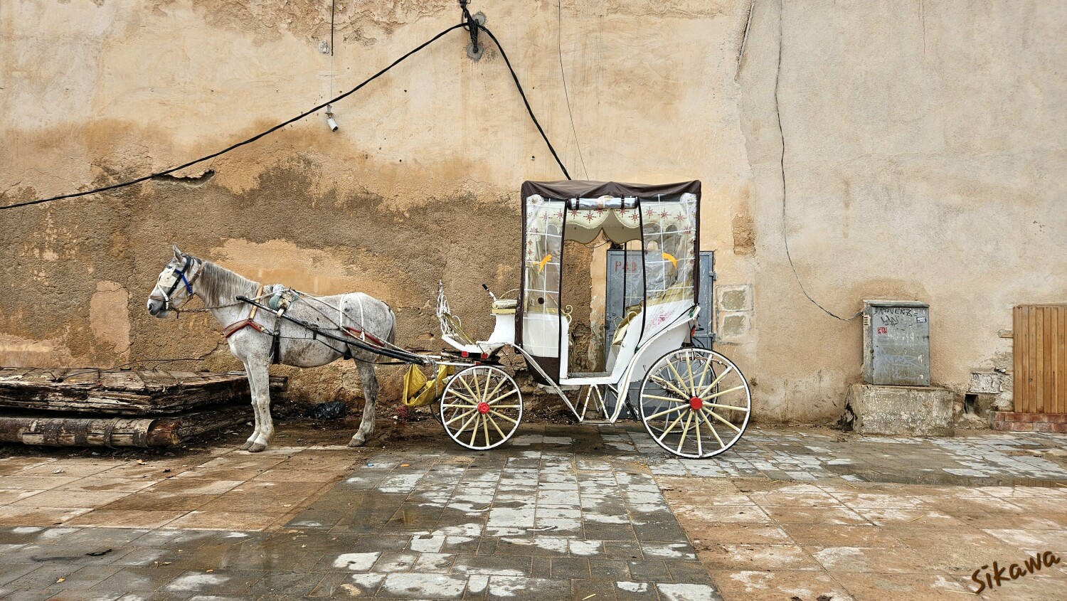 A scene in Mekenes, Morocco