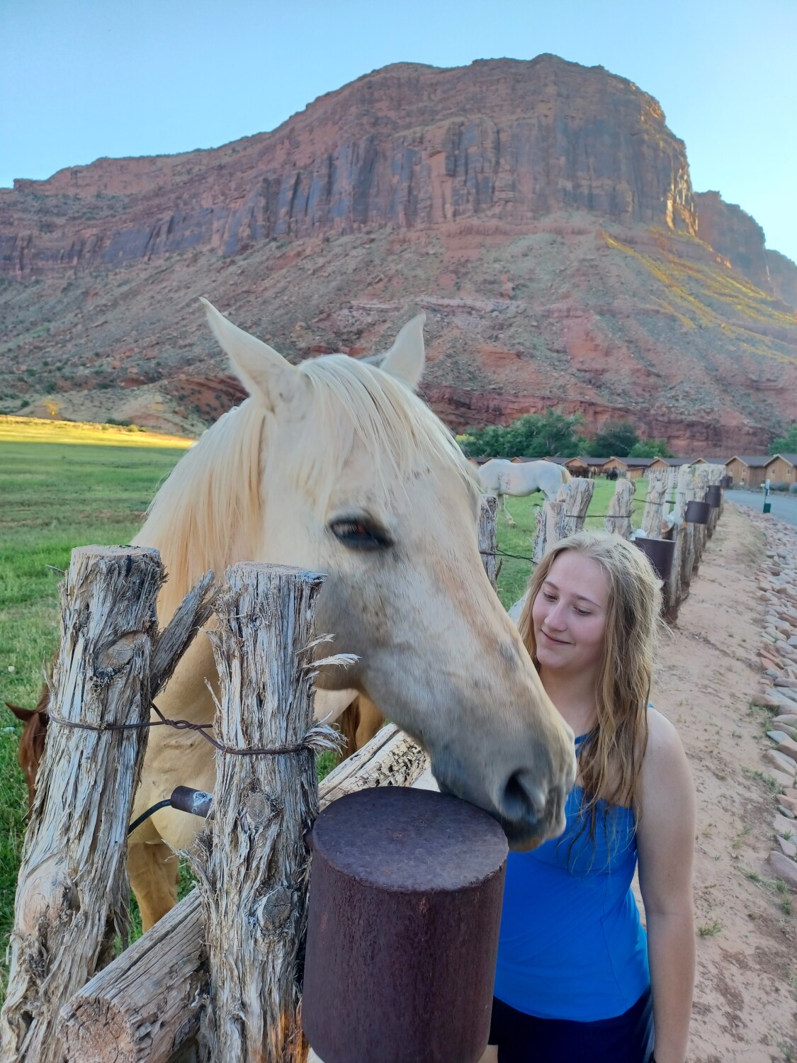 Horse Whisperer