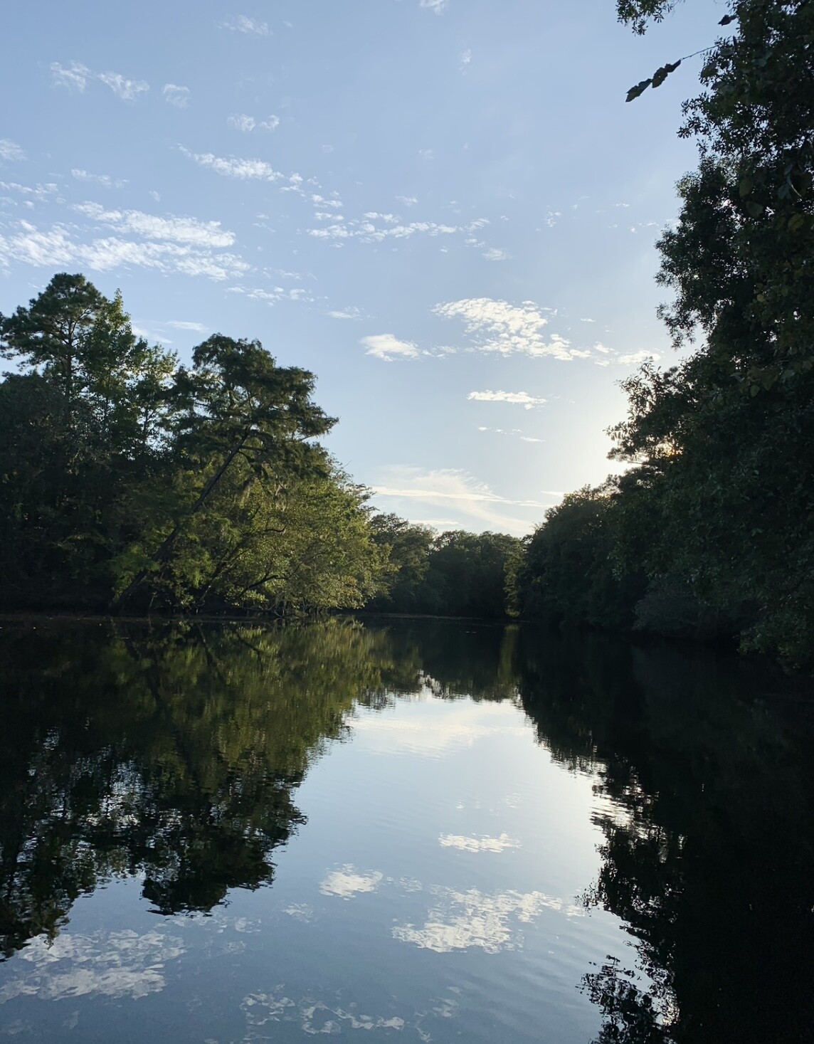 Perfect day on the river