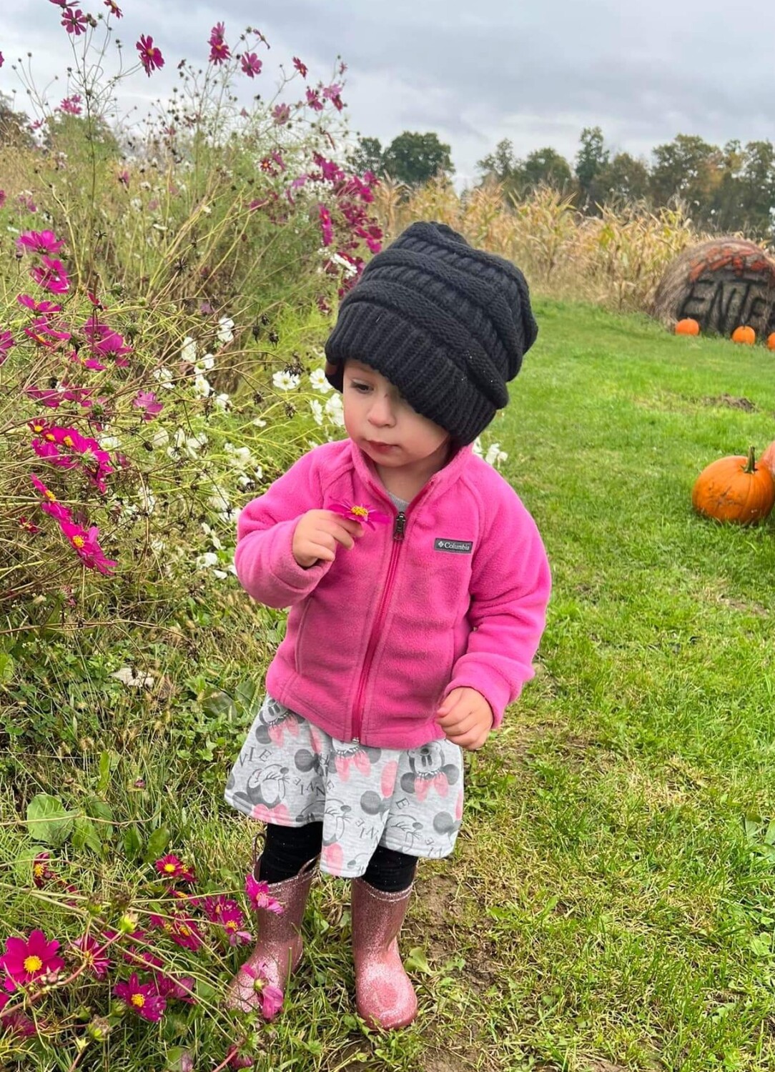 Papap & Gigi's whole heart