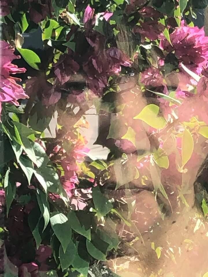 Garden Window Reflection