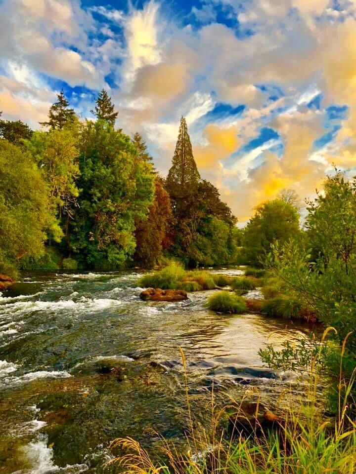 South Fork Willamette River