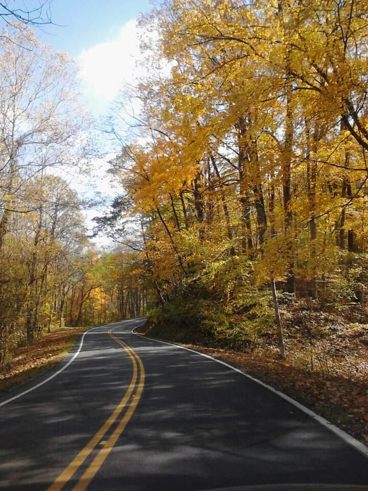 Wild Wonderful West Virginia