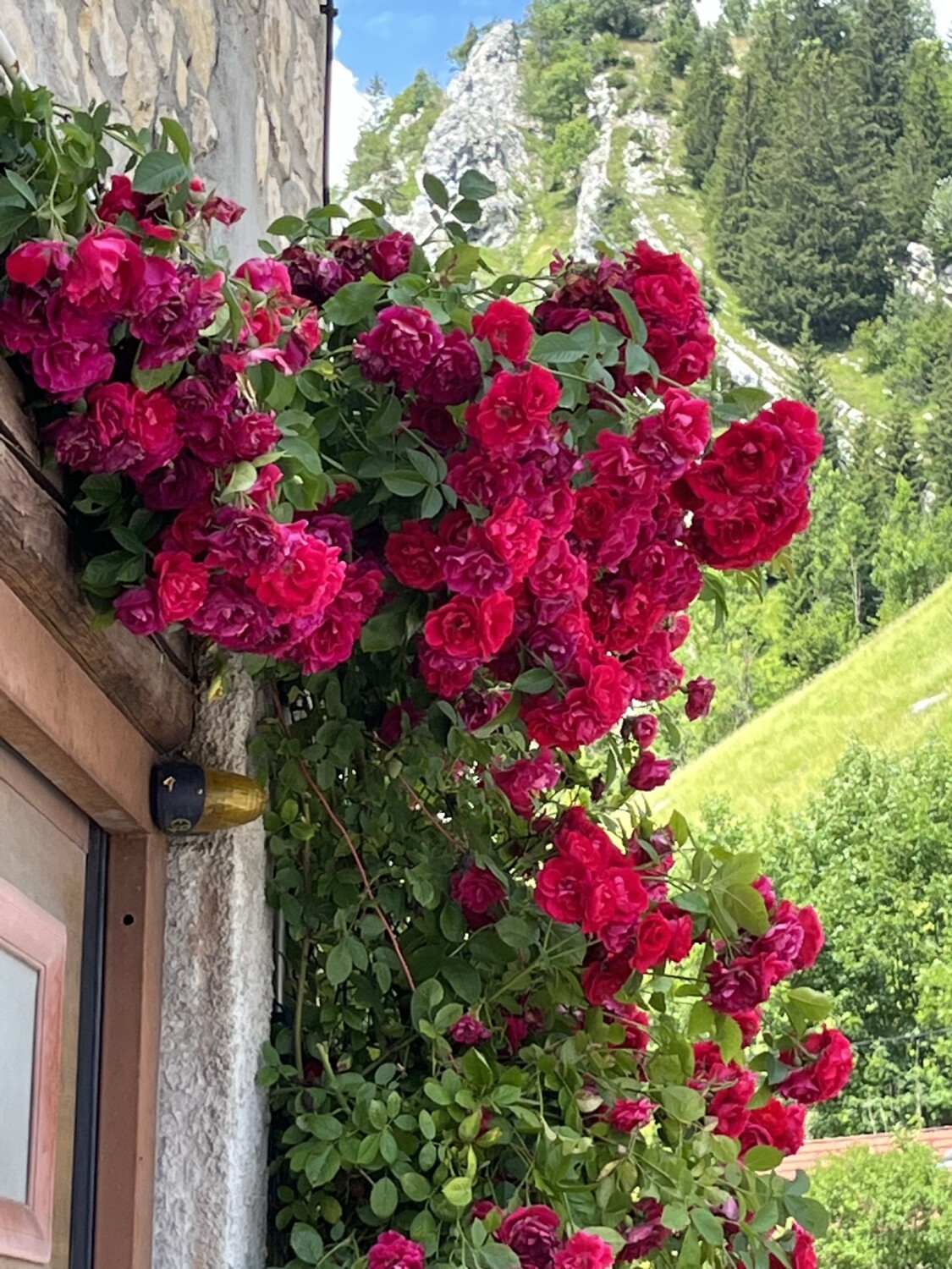 Gateway to Switzerland