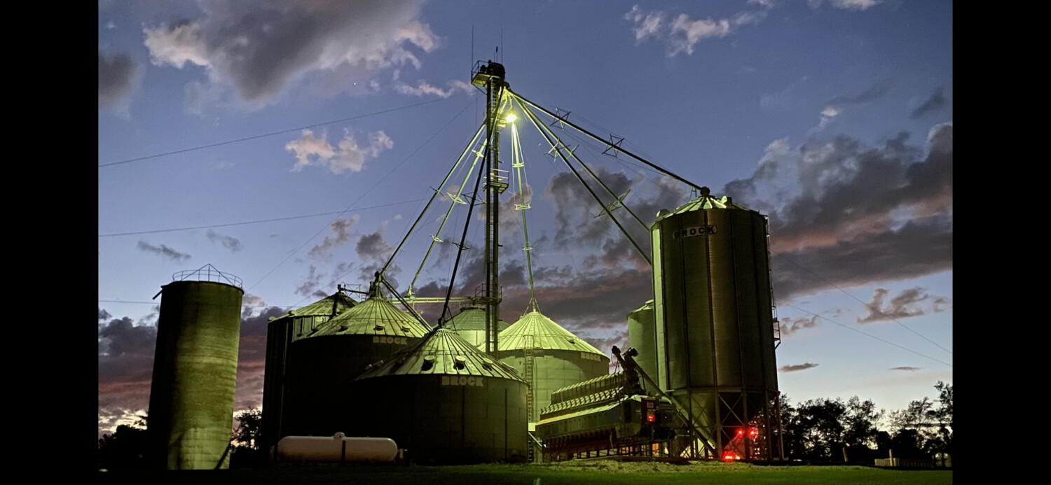 Harvest at night