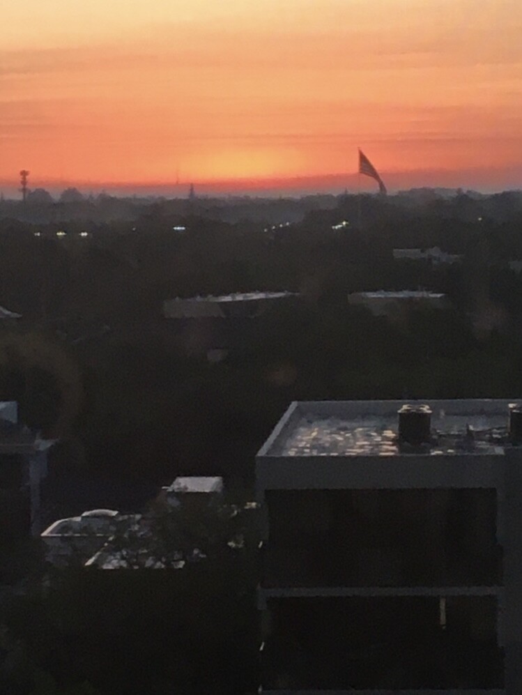 Downtown Sarasota Sunrise