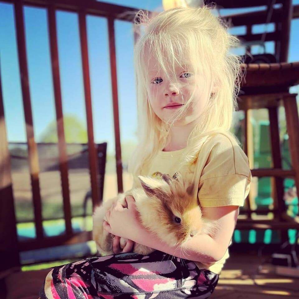 Charlee Animal Whisper