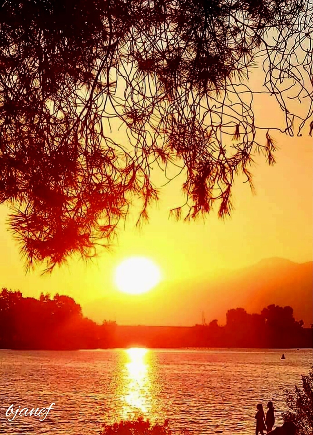 Sunset, Frank Bonelli