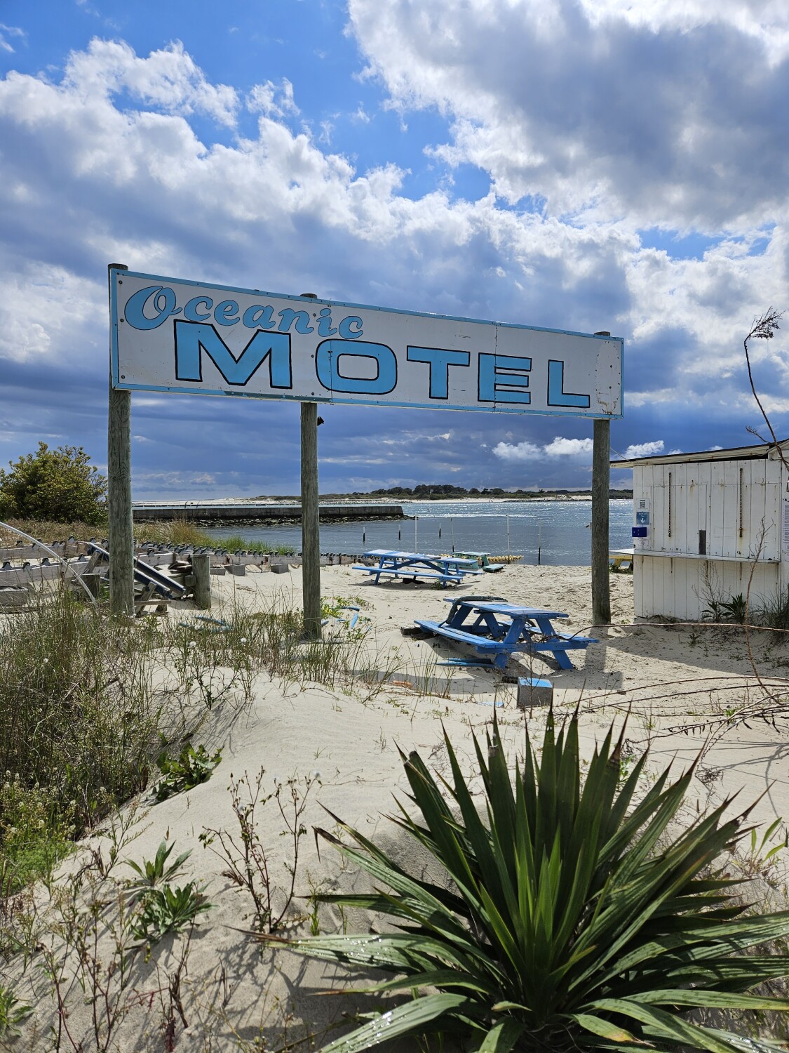 The Tranquility of Spring