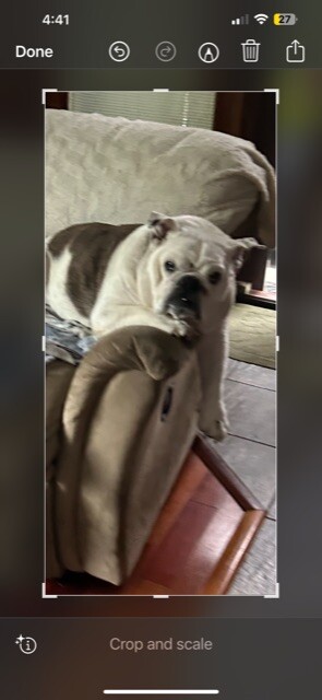 Chopper just Chillin