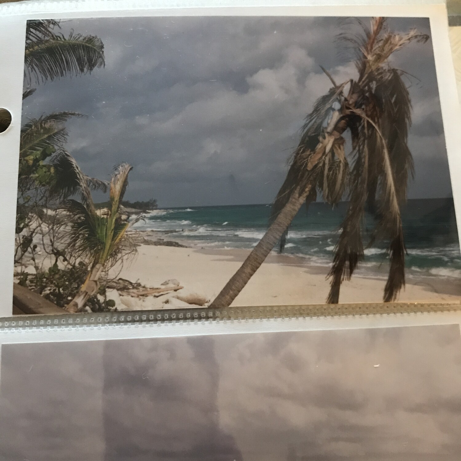 Bahama’s Salt Cay Beach