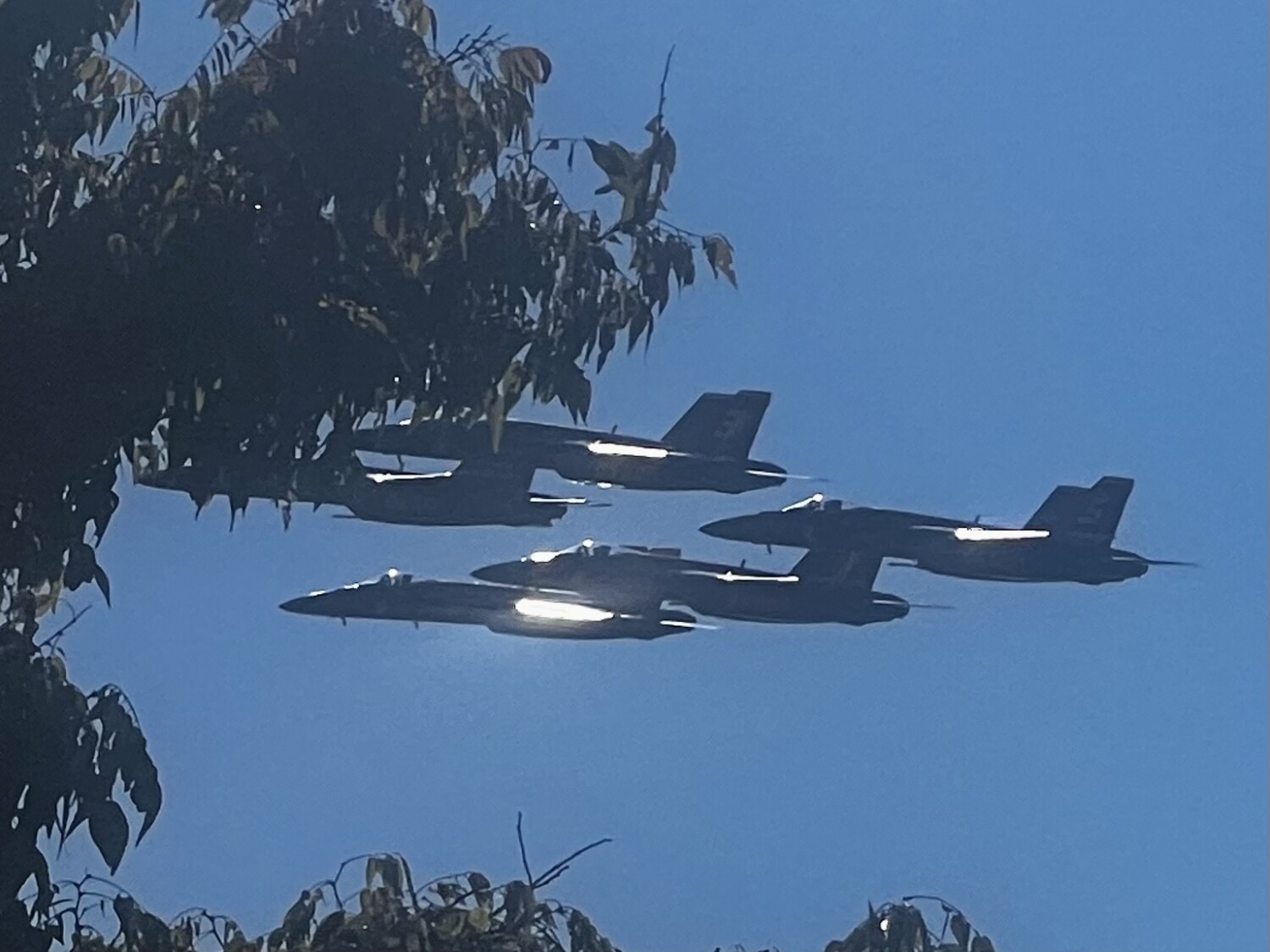 Blue Angels