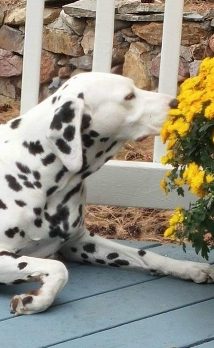 Bella enjoys some me time