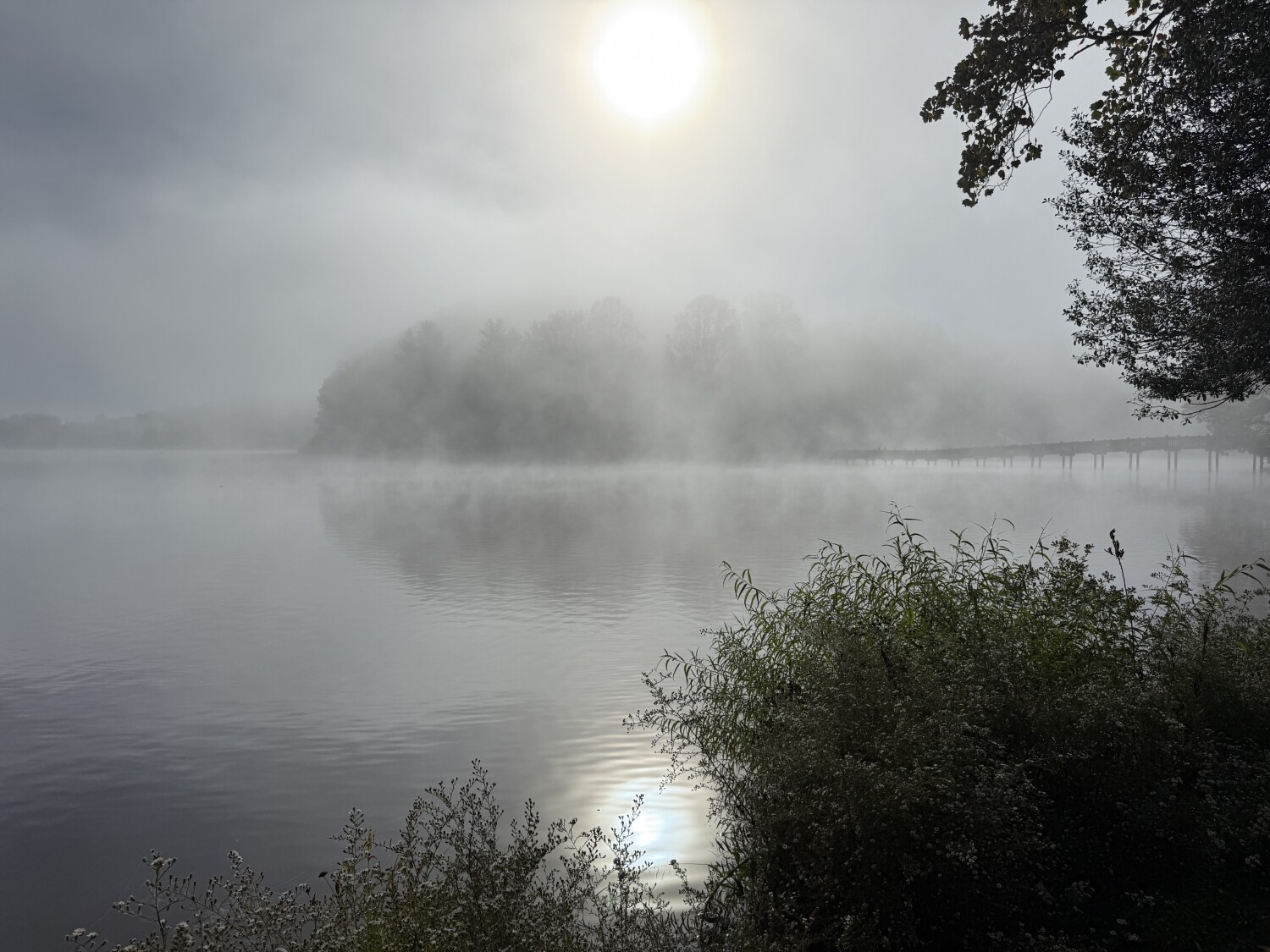 Lake Junaluska Waking Up