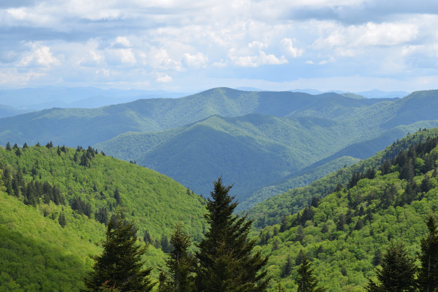 Appalachian National Scenic Trail