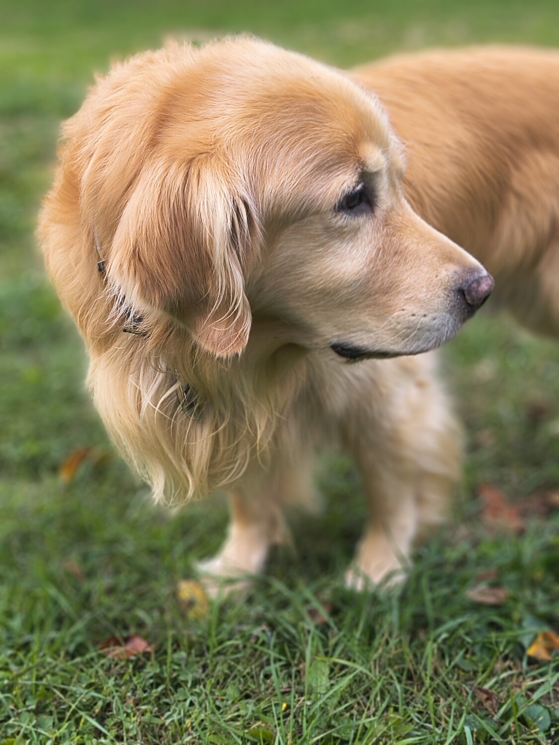 my cheerleader Coach