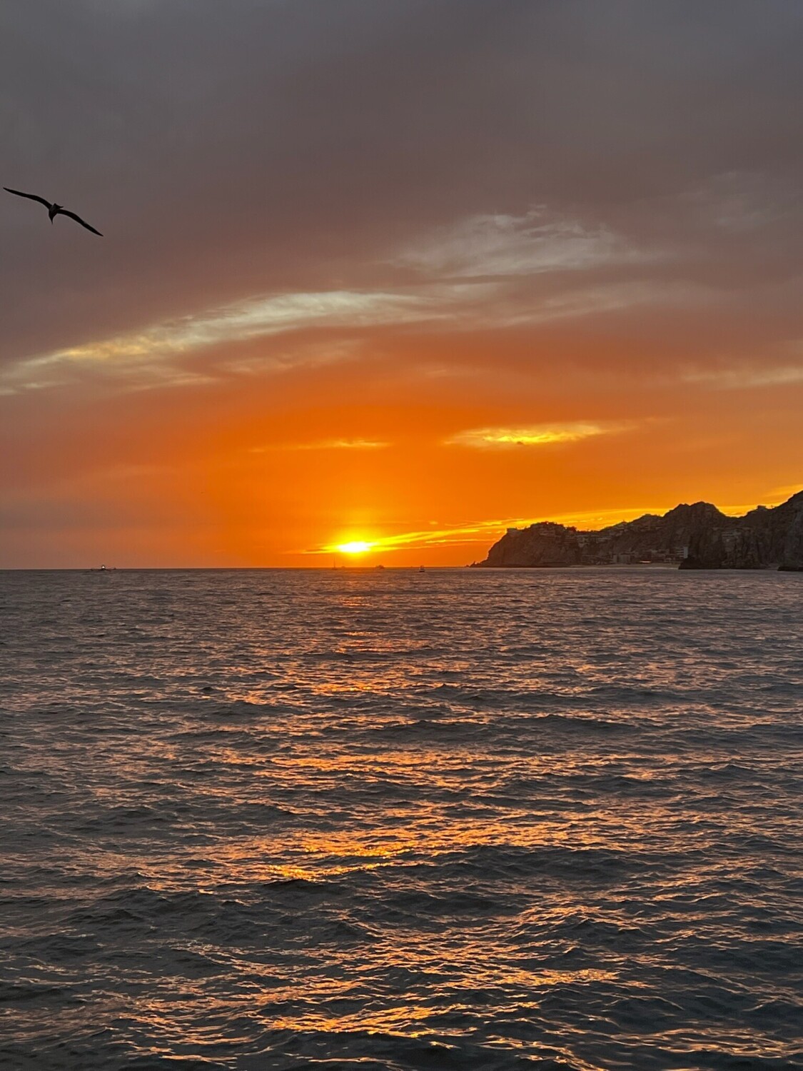 In search of a better tomorrow