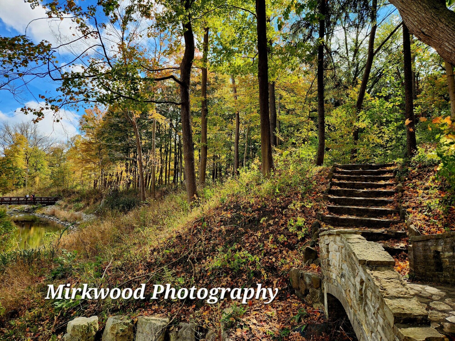 Fall Hikes