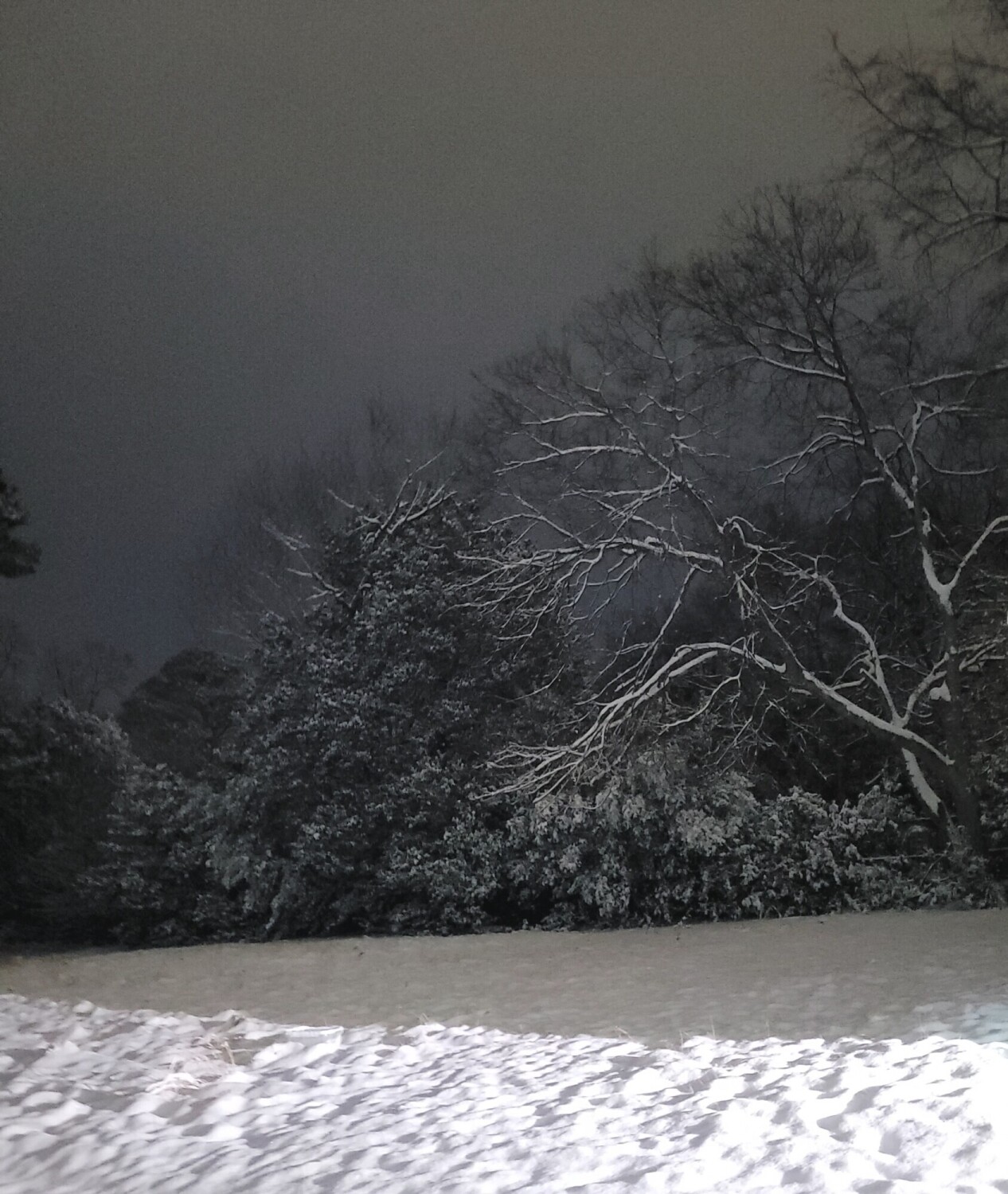 My first Georgia snow