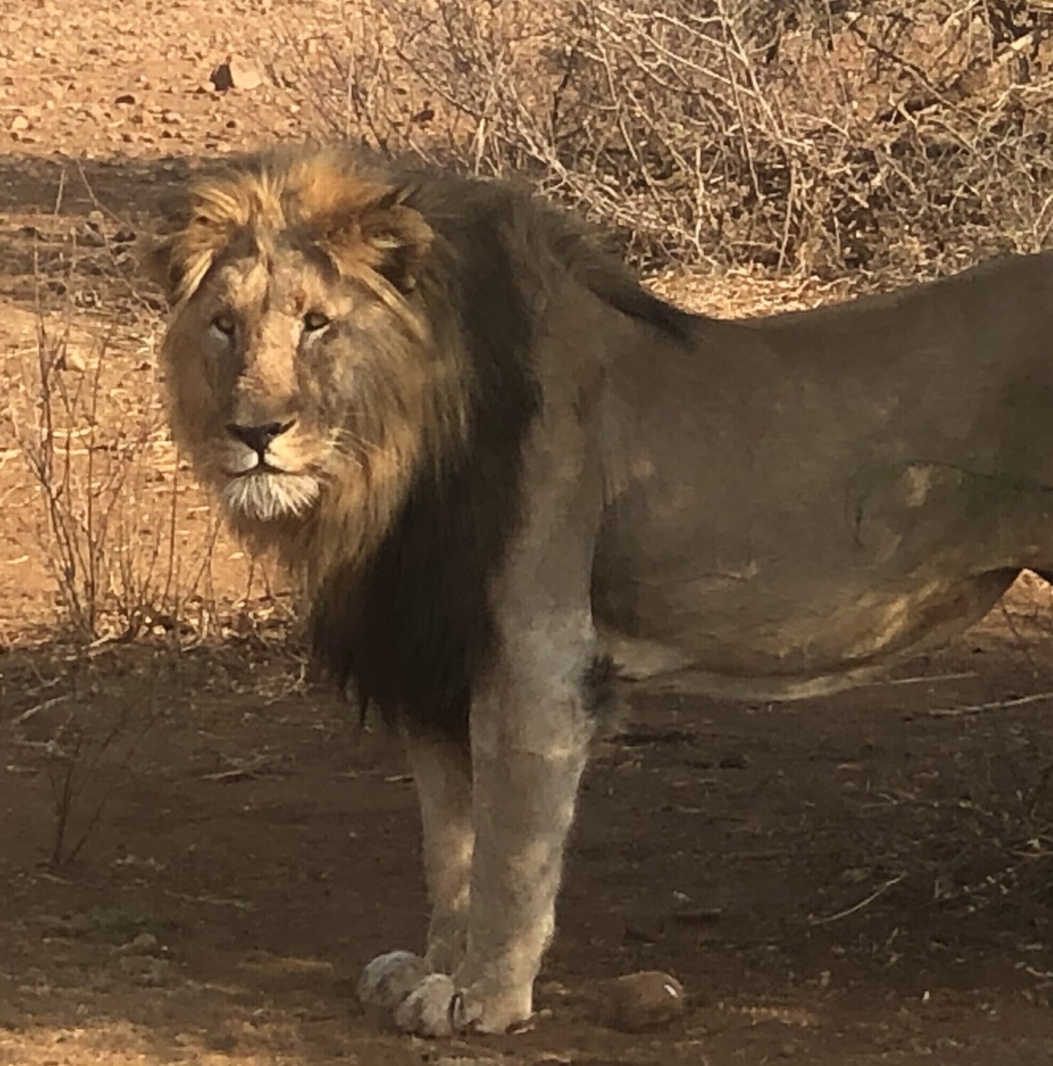 “In the silence of the wild, he speaks the loudest