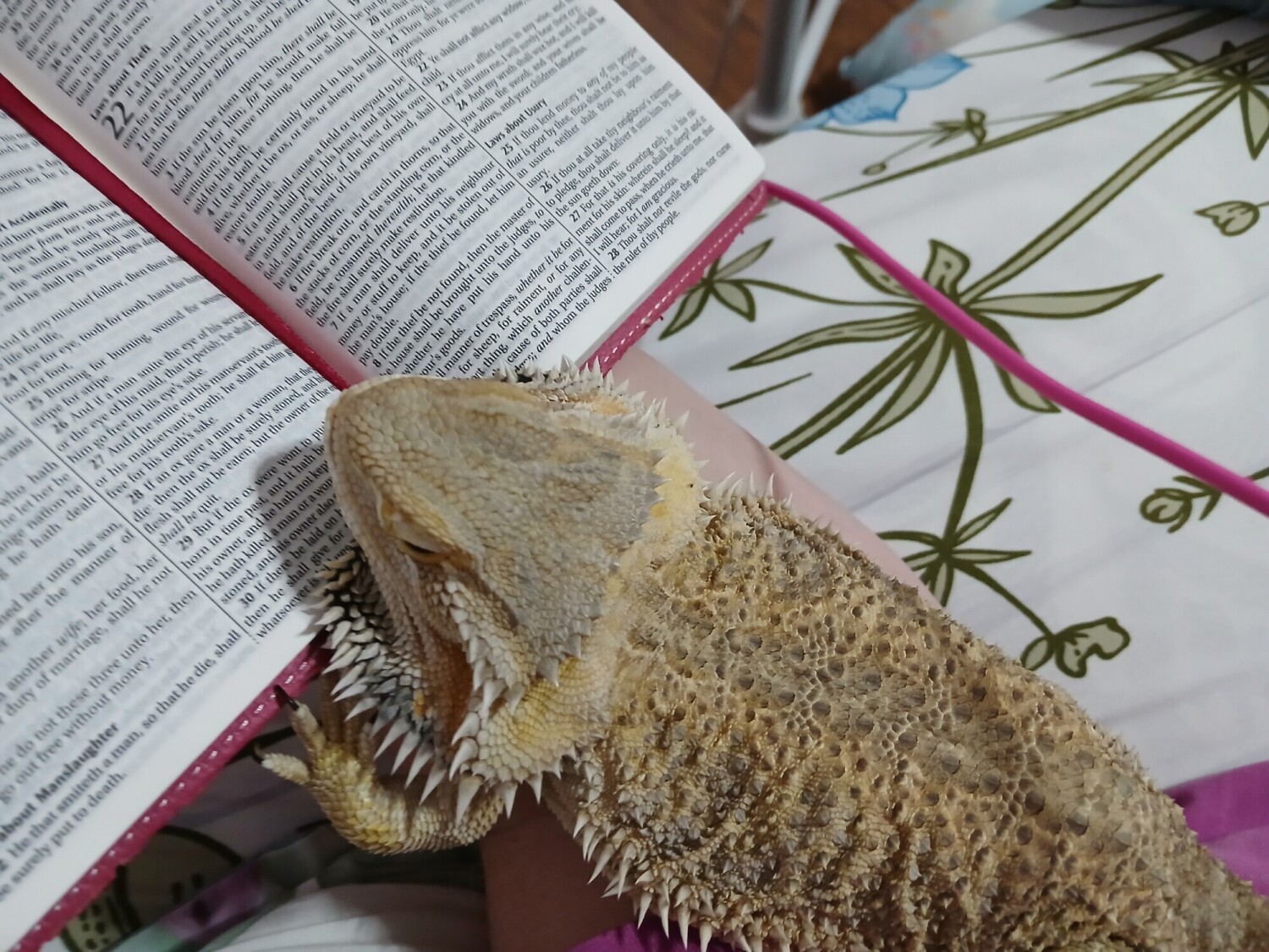 Jj's favorite time of the day