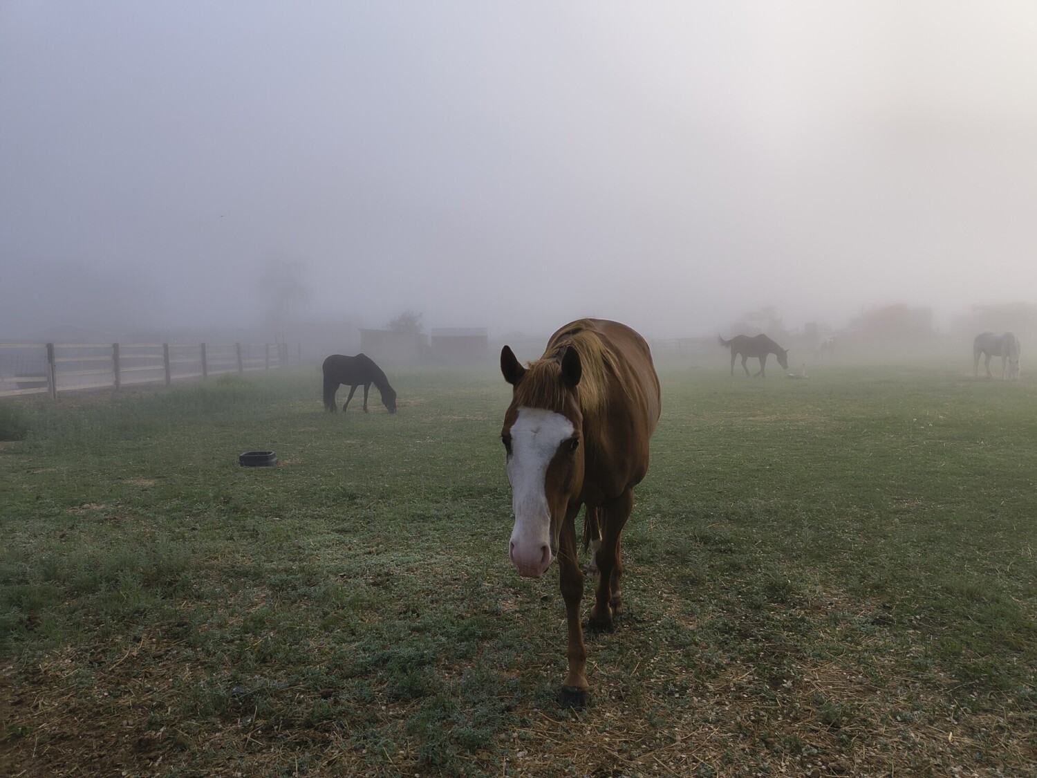 Morning greeting
