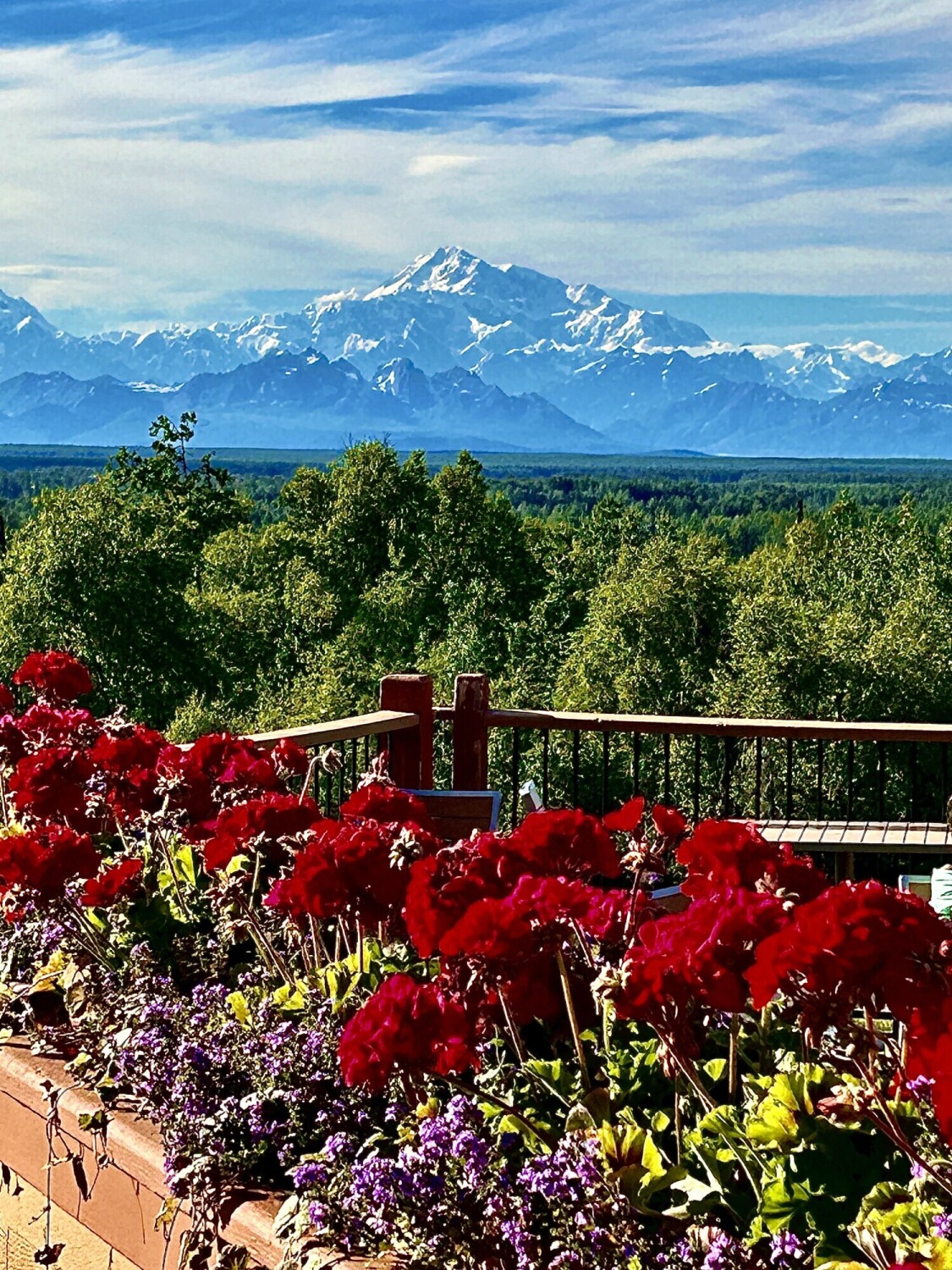 Denali in summer