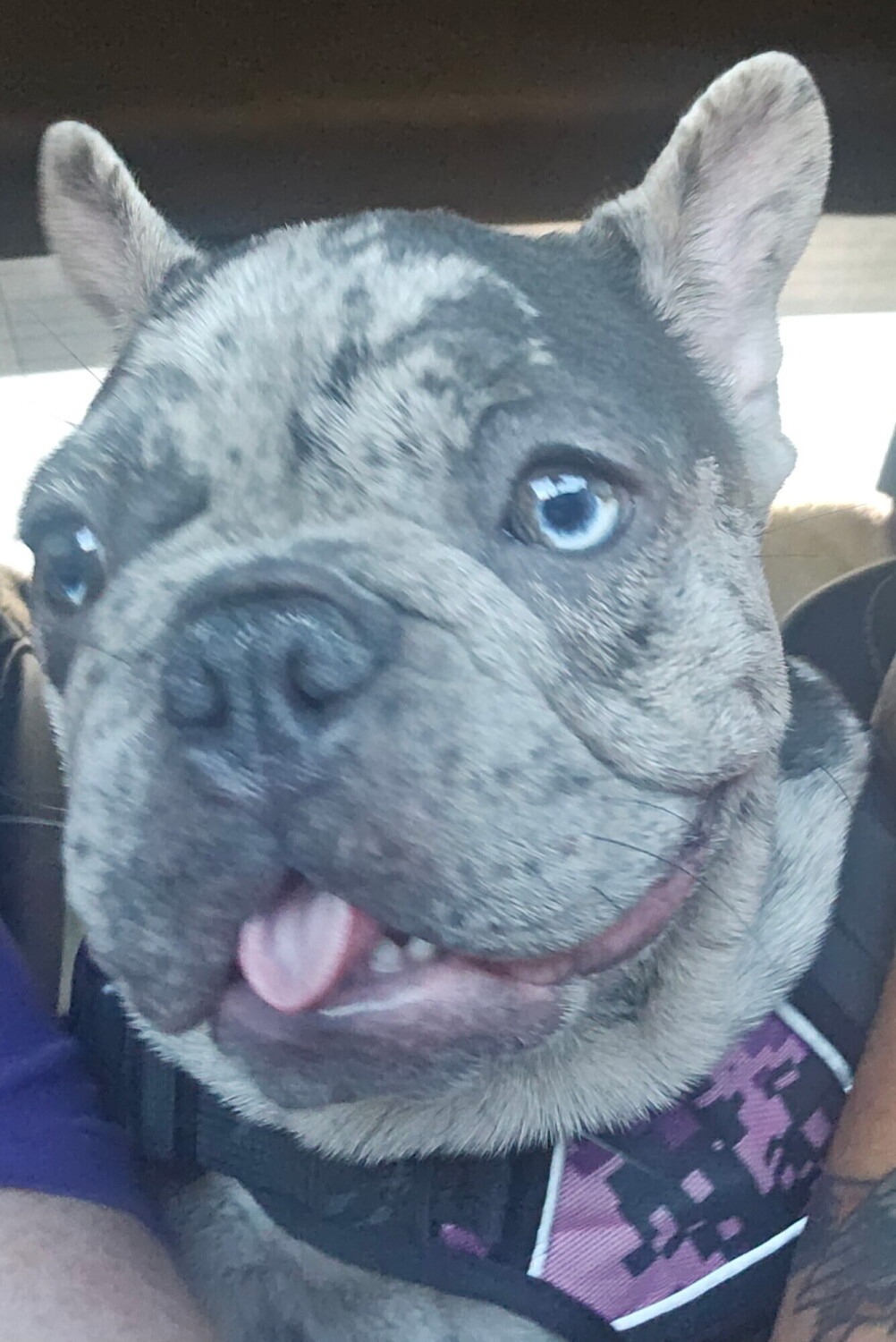 I am so adorable 😍