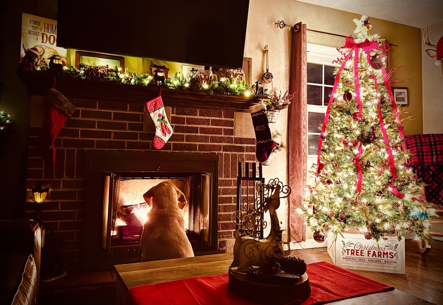 Waylon waiting for Santa