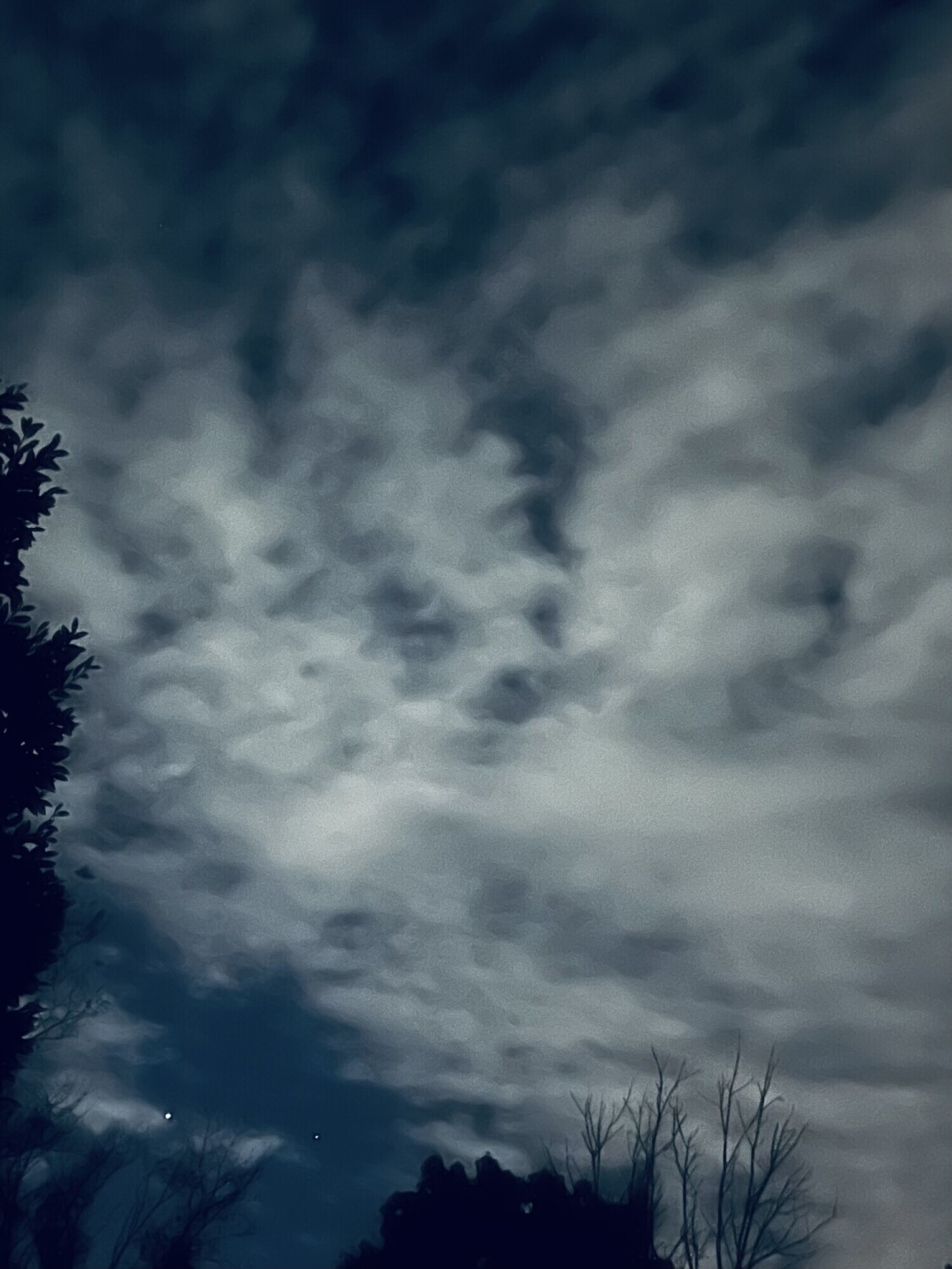 Soul Dogs in the Clouds