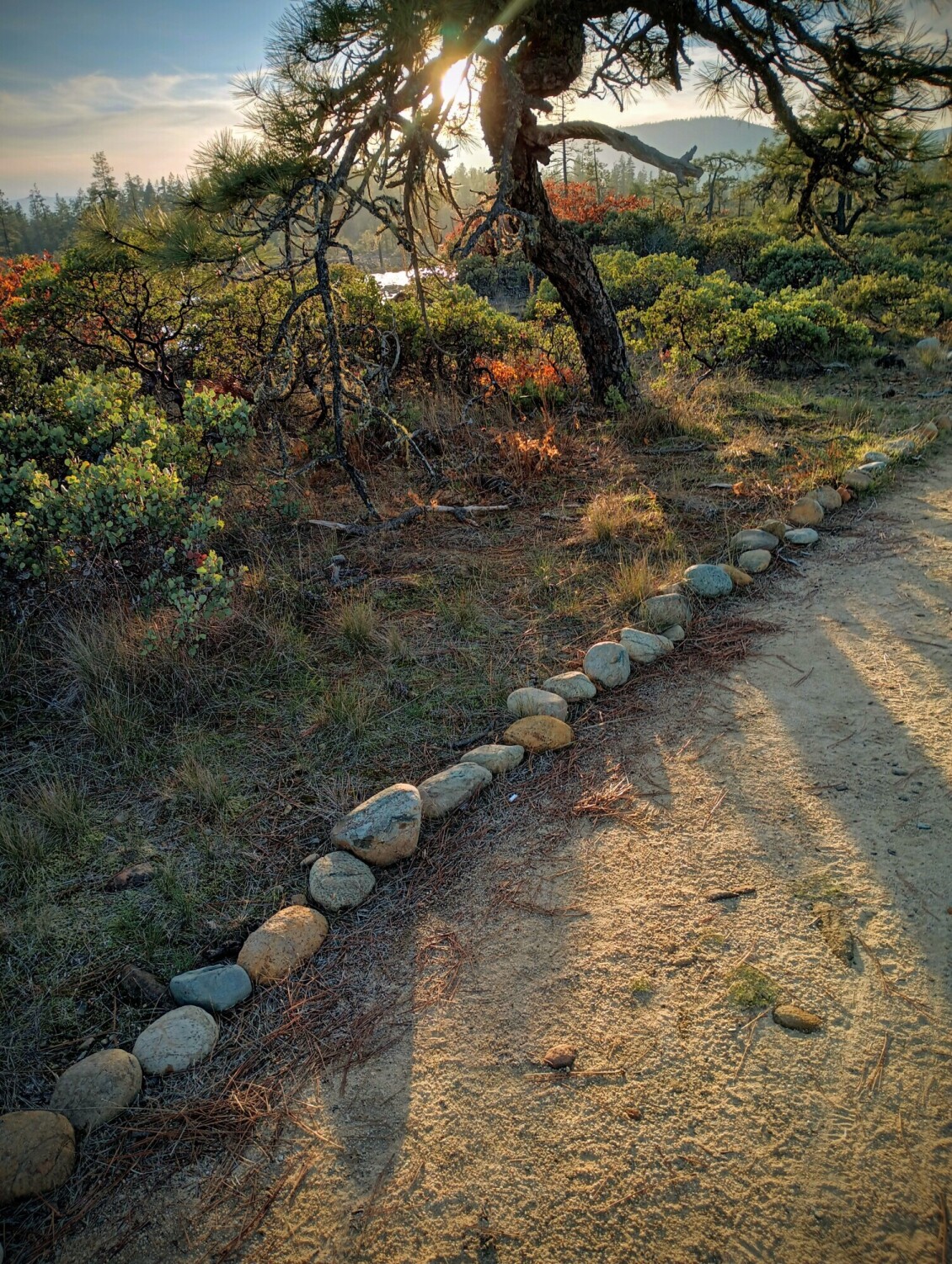 Rough and Ready Botanical Wayside