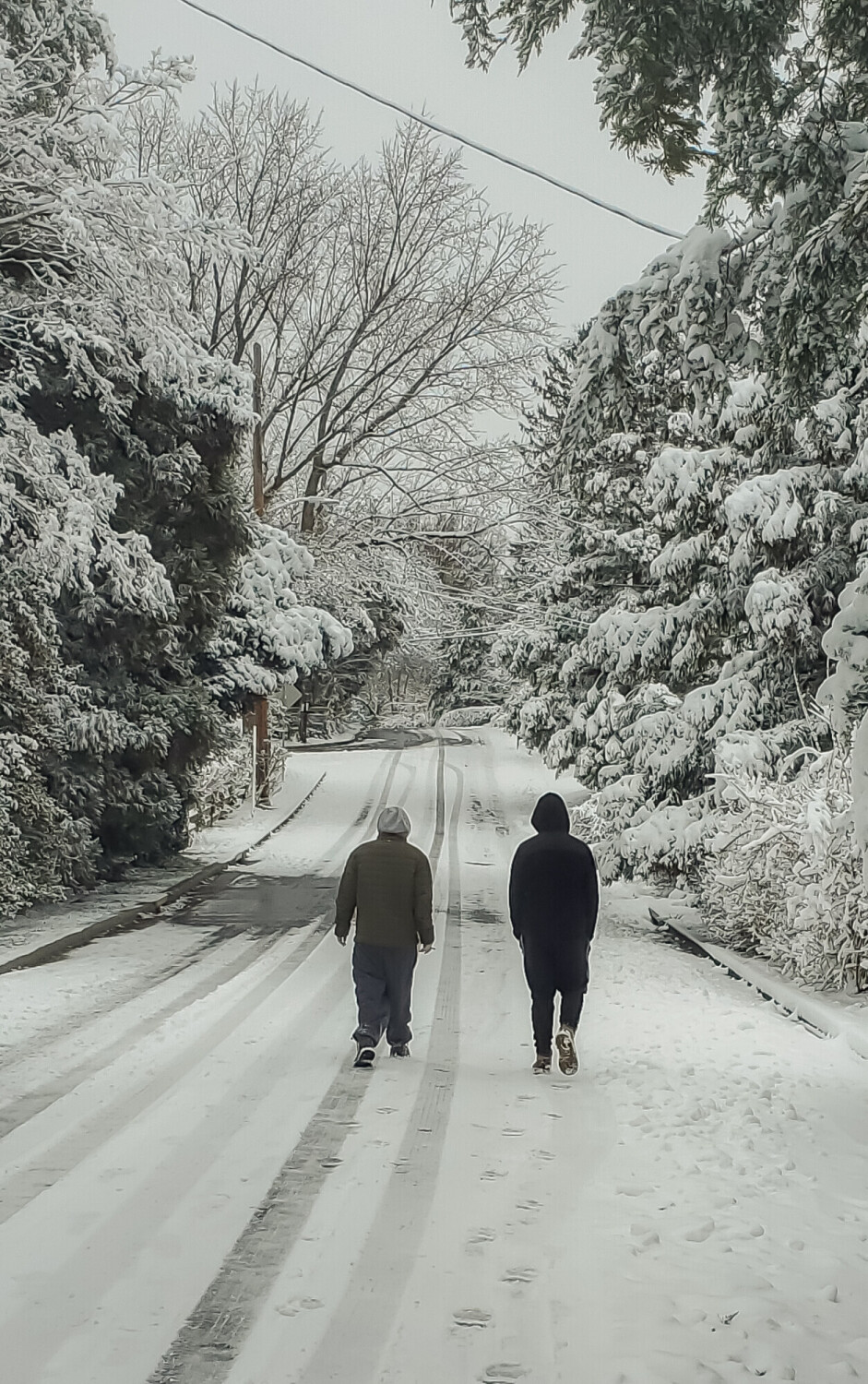 Frozen in the snow