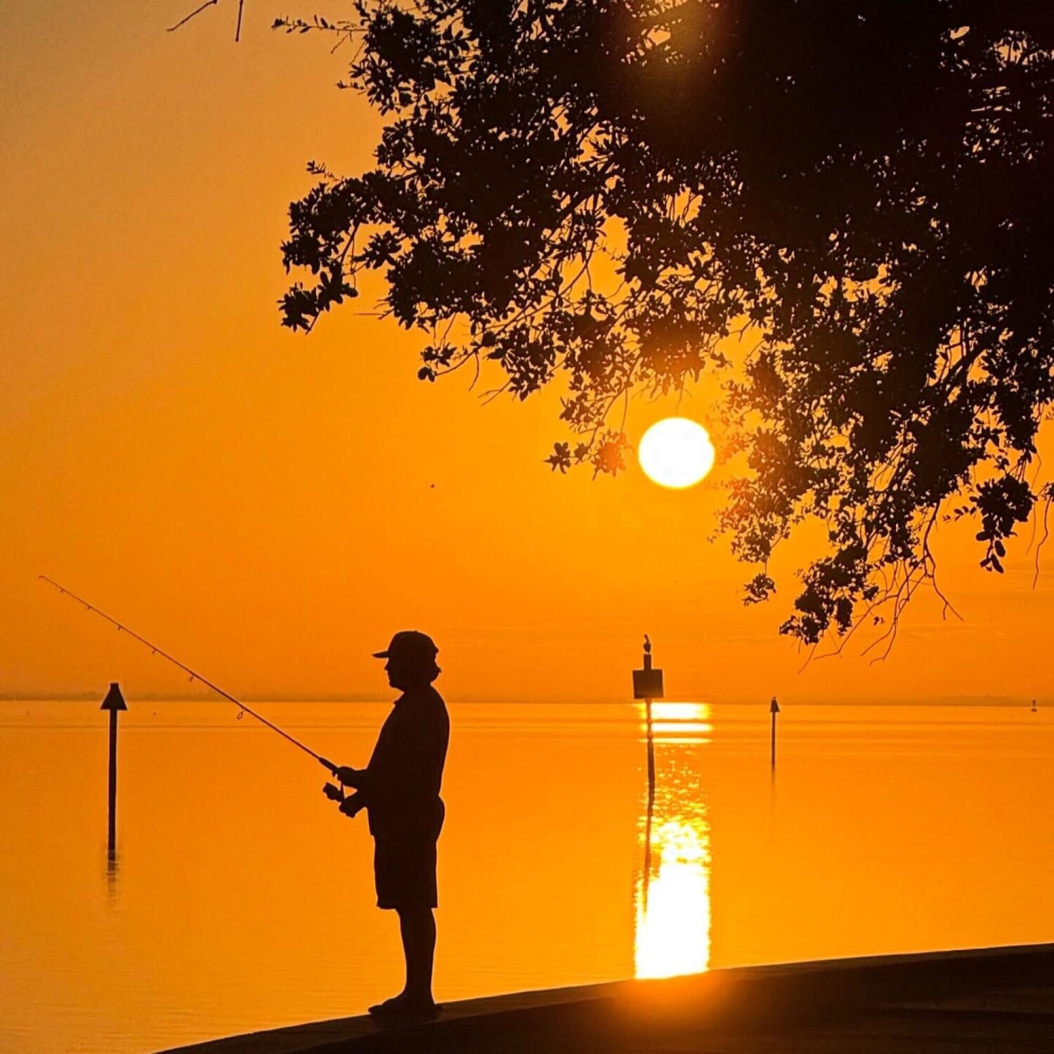 What are you fishing for?