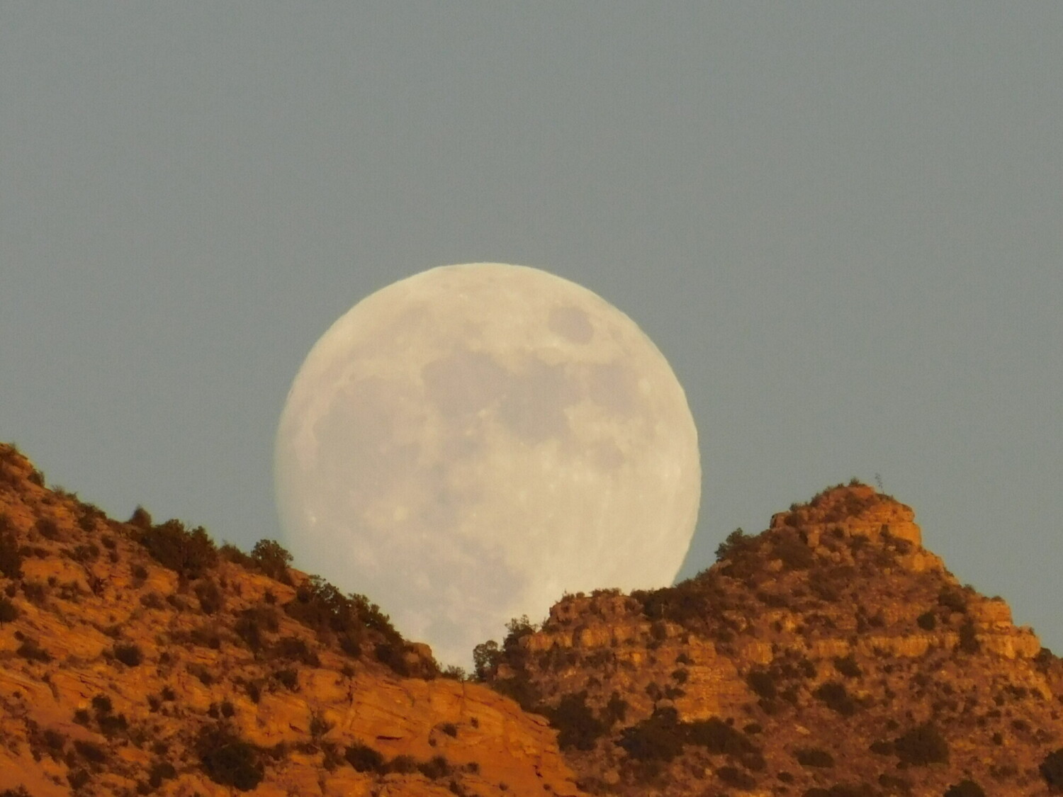 Full Moon in the Coconino Forest