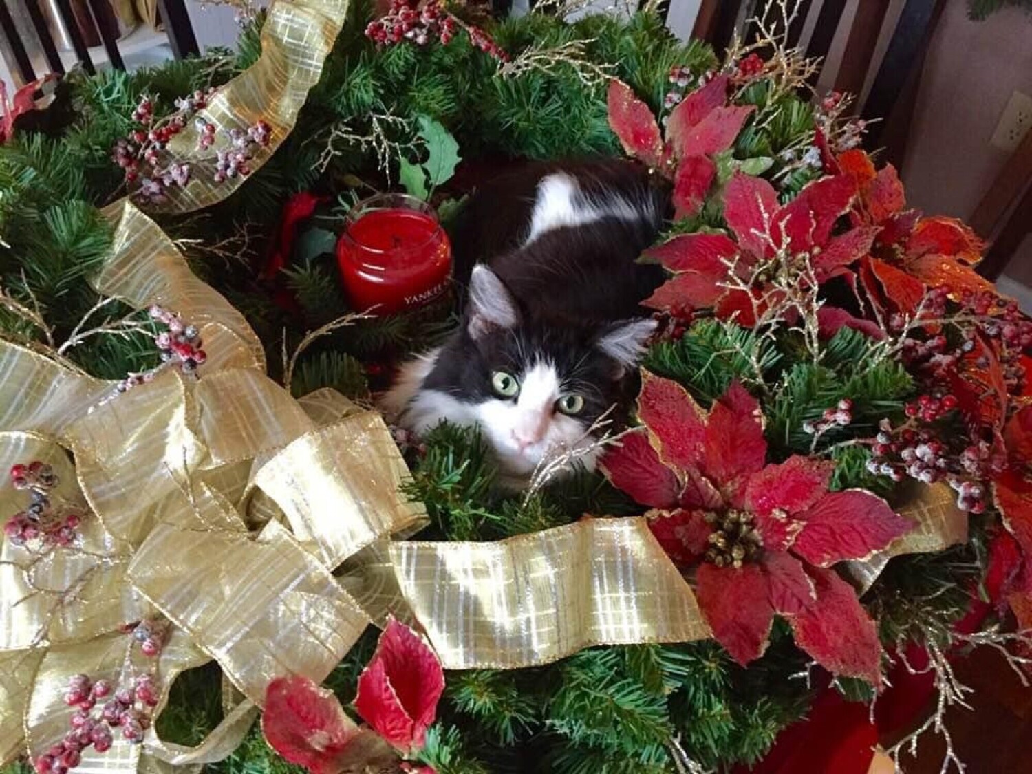 Look who’s peeking!