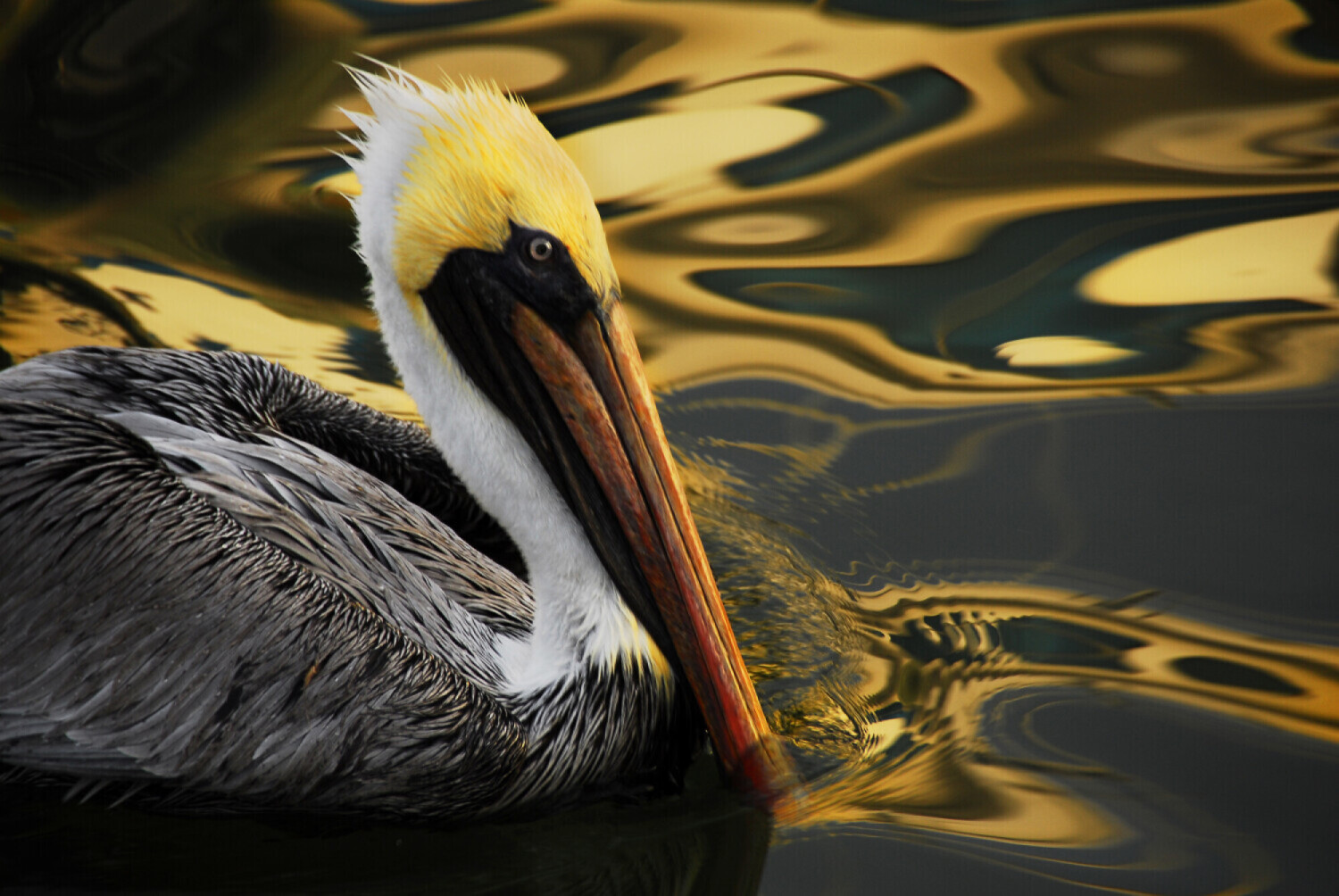 Upon Reflection……….