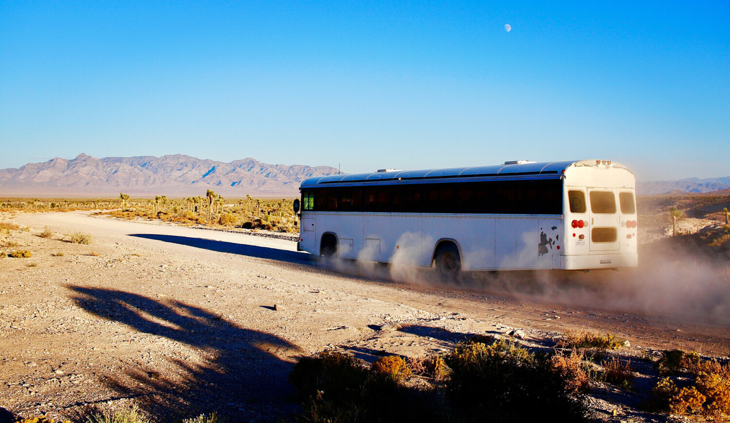 Area 51 White Bus