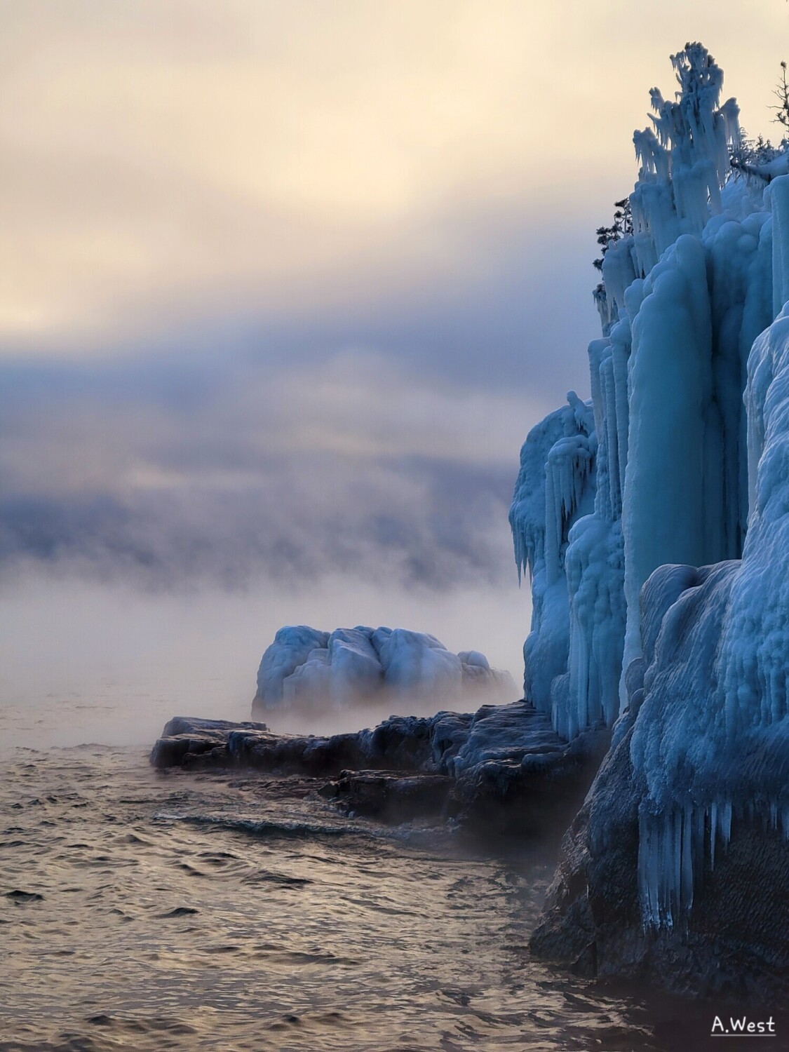 Frozen in Sea Smoke