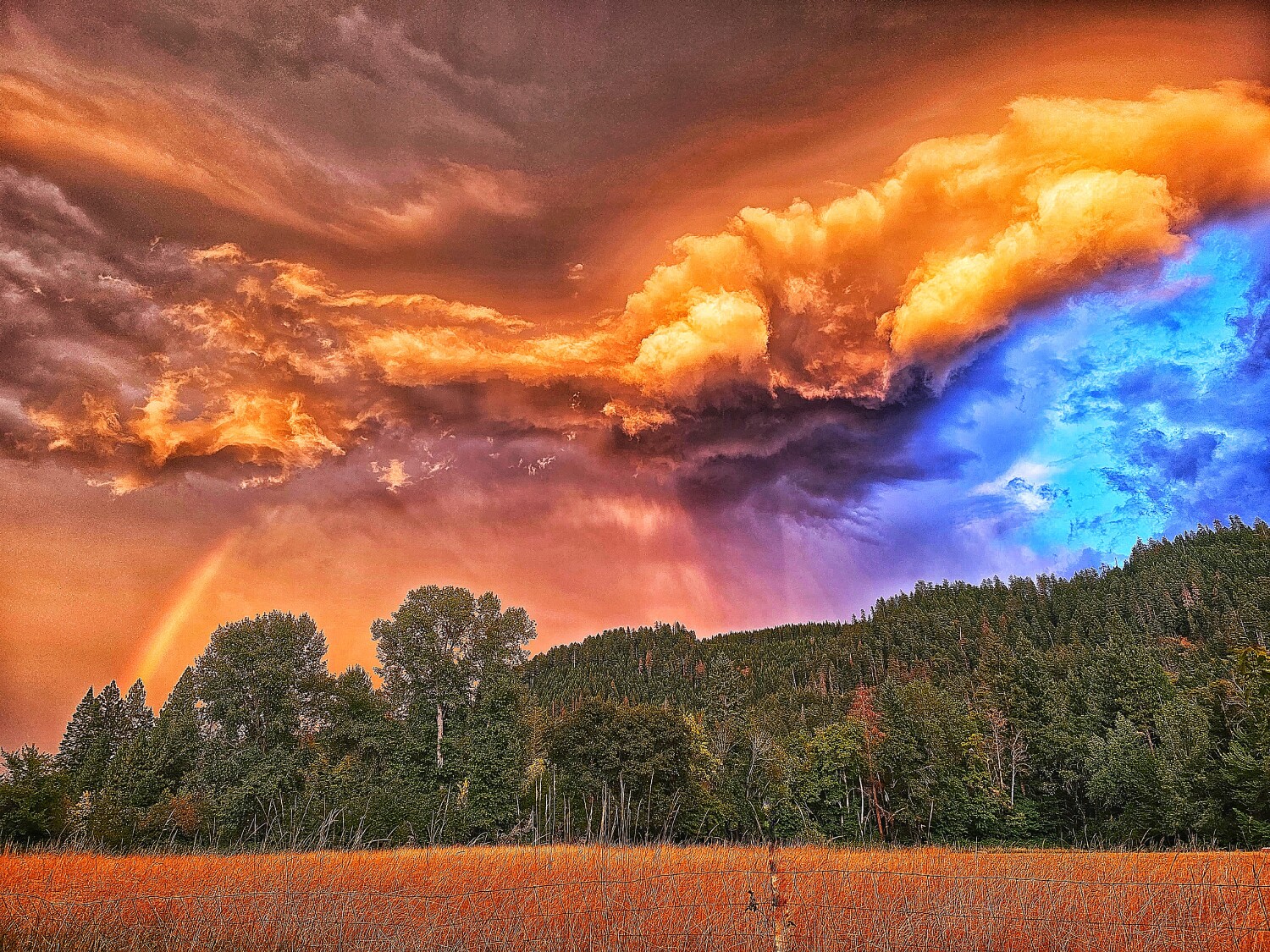 The turbulence of love and losss