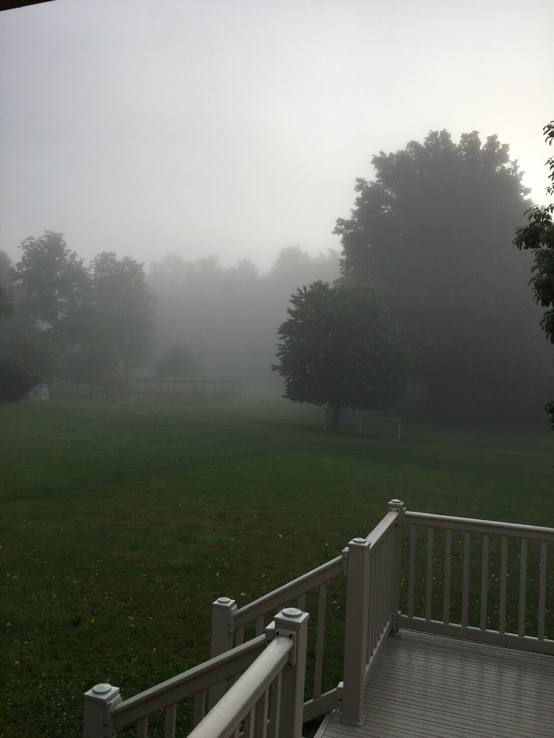Foggy morning