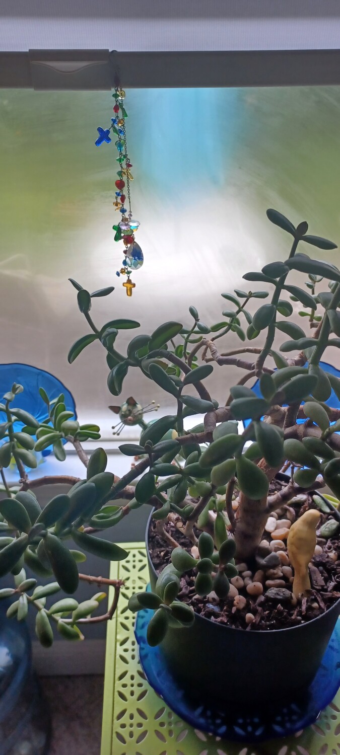 Soup on a cold day in October