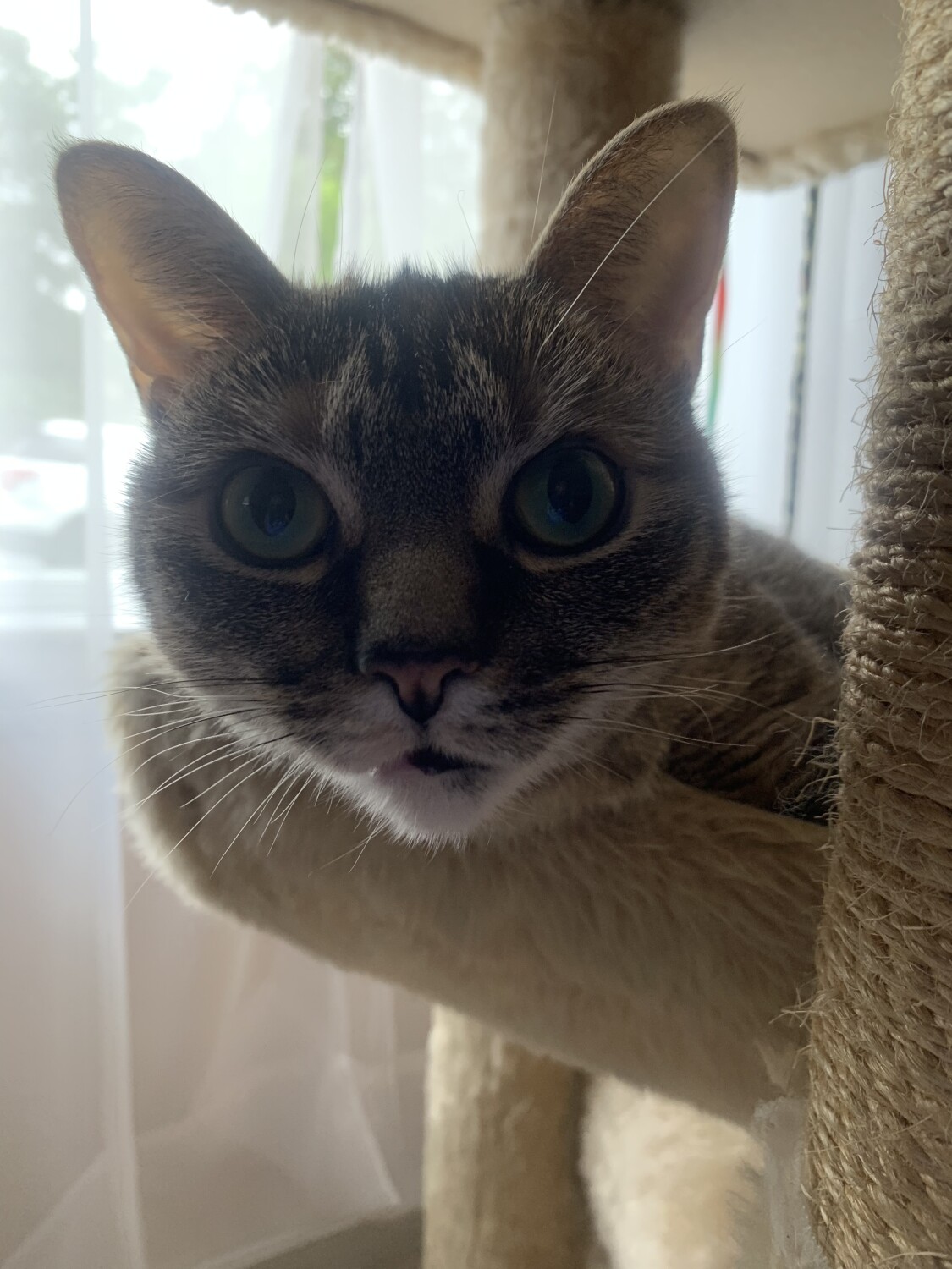 R U Sure About That?