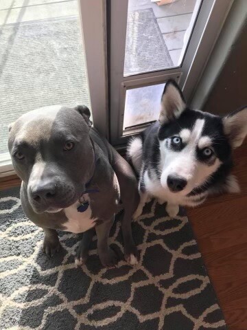 Jax and Nukka
