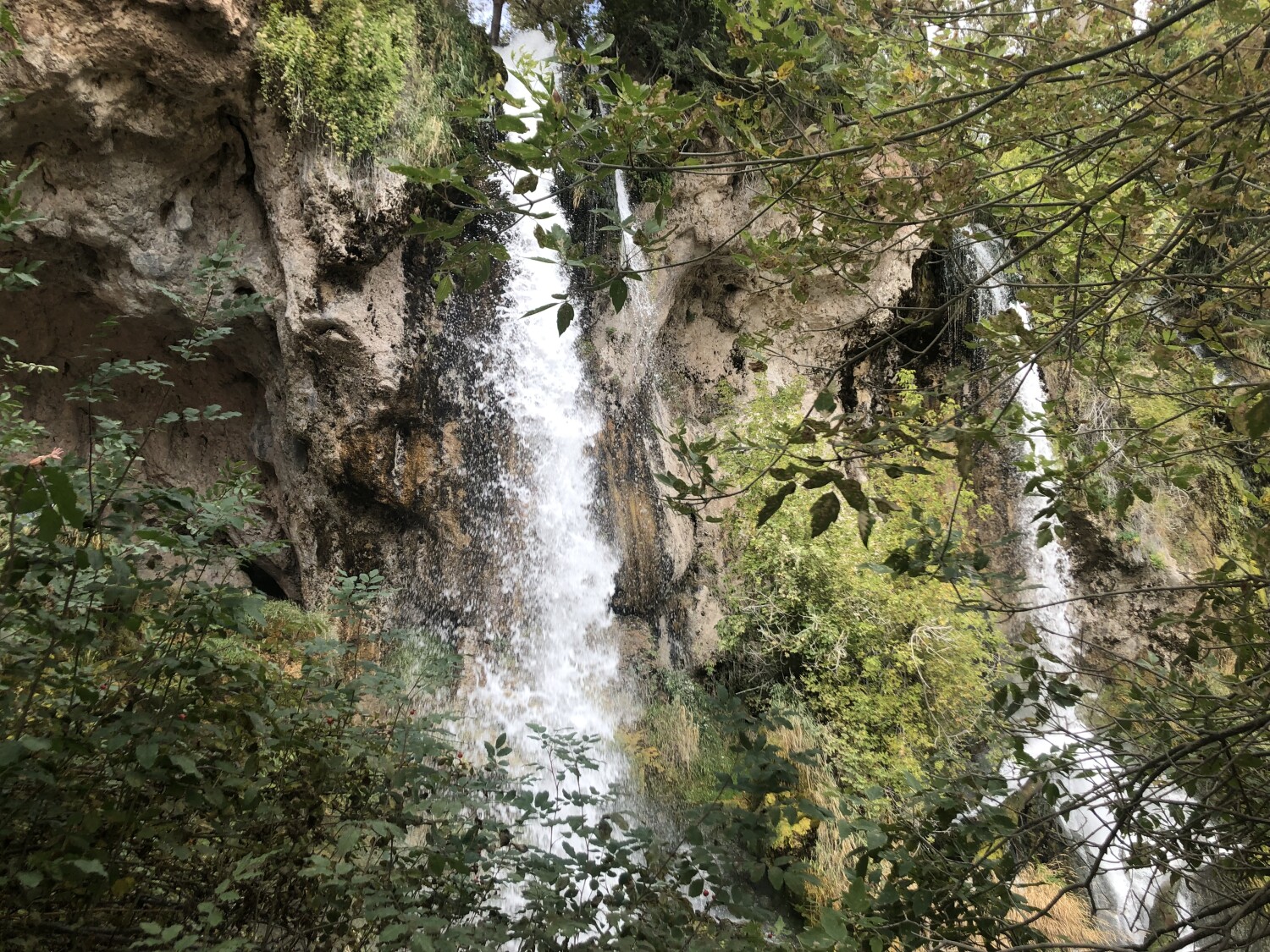 Summer in Rifle falls