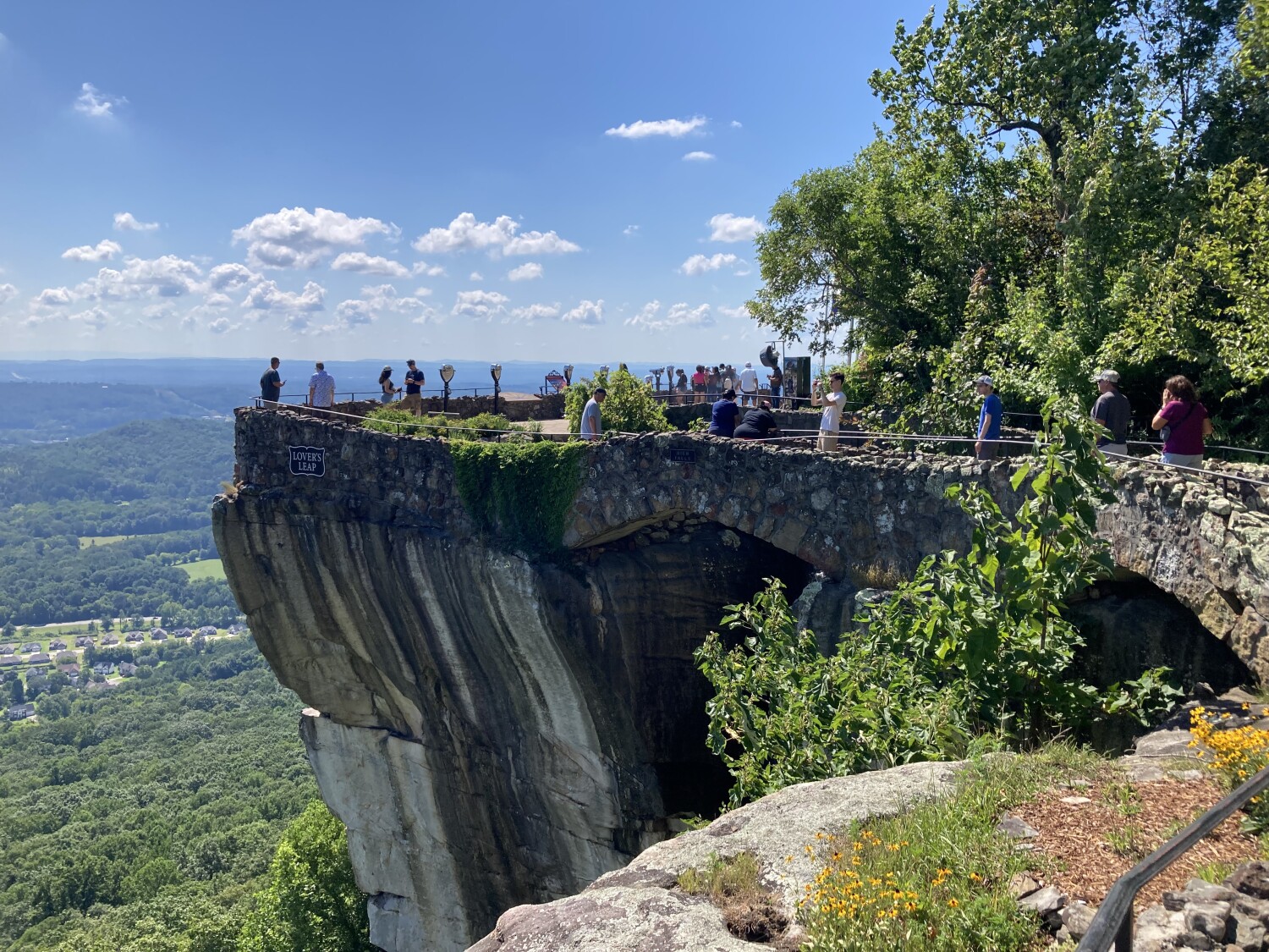 “The View from the Top!”