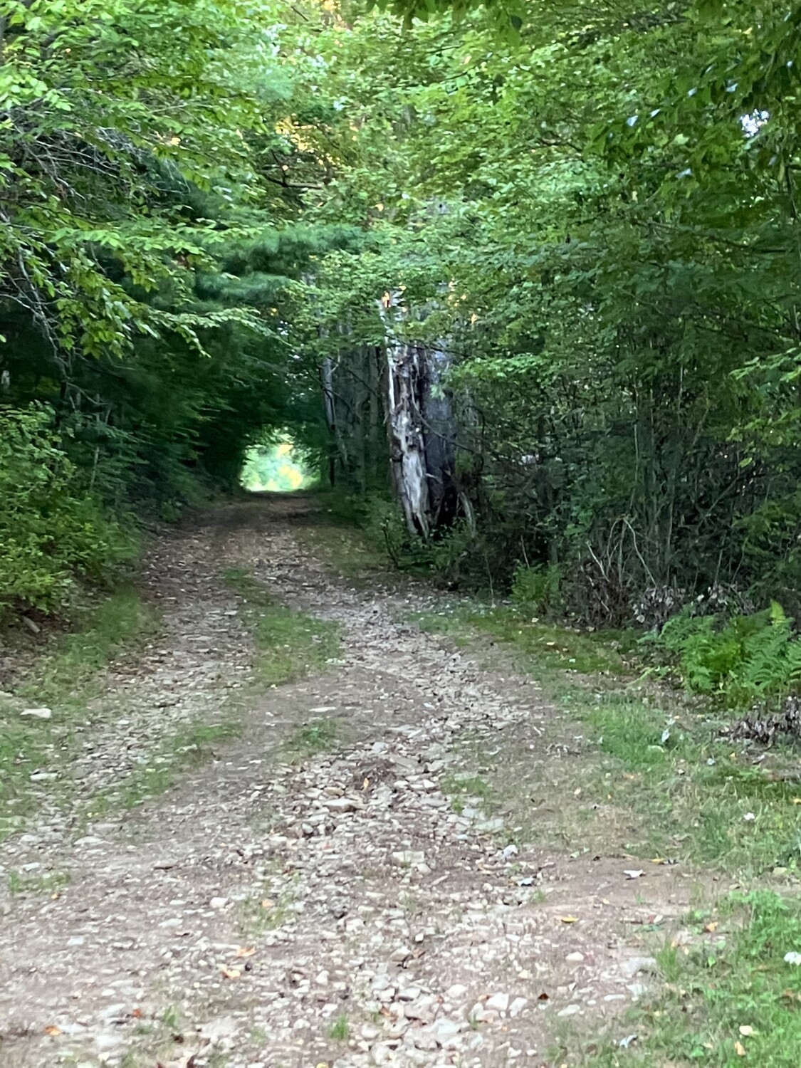 Country hike ~ what’s on the other side?