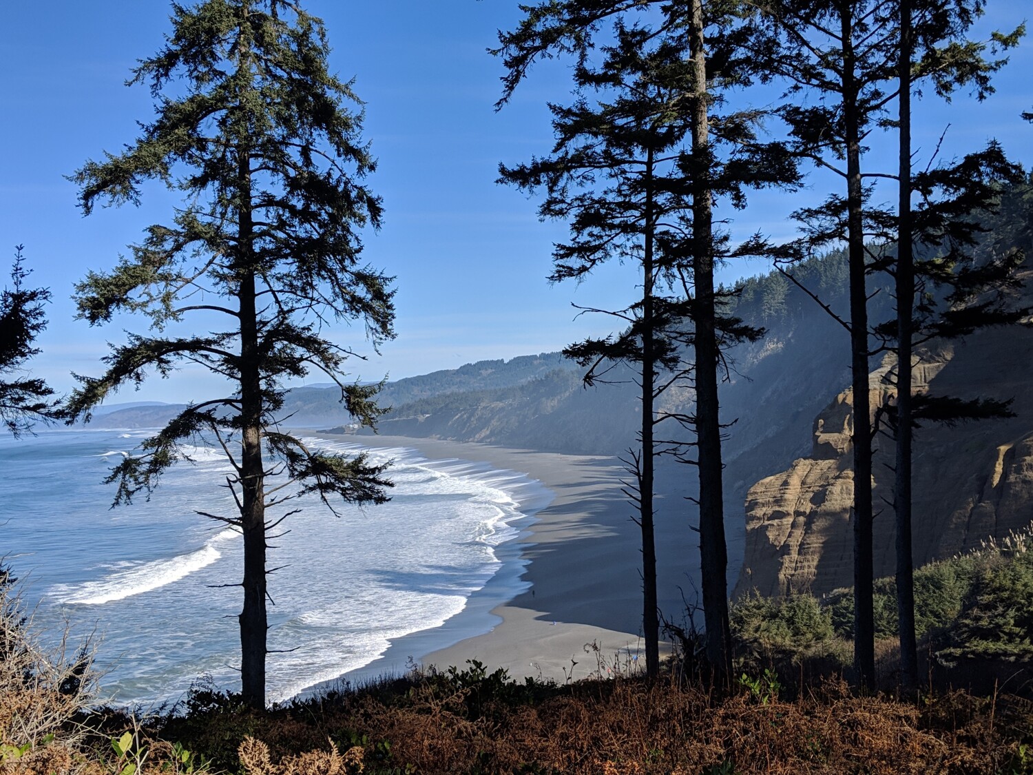 Northern California Coast