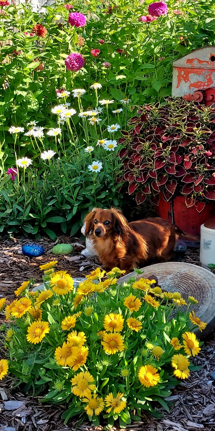 SYLVIE IN HER FLOWERS
