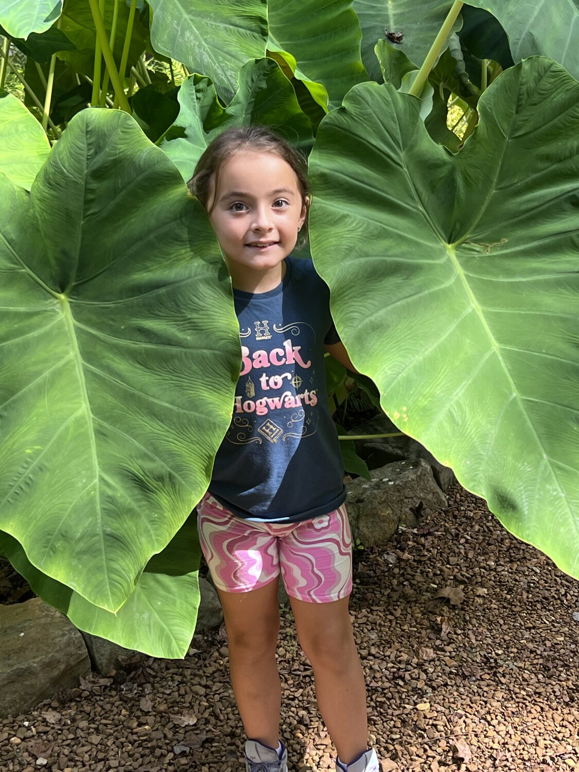 Huntsville Botanical Gardens